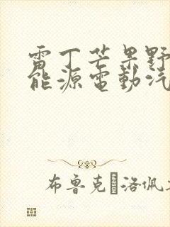 雷丁芒果野马新能源电动汽车多少钱