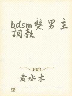 bdsm双男主调教