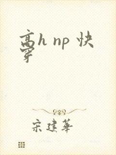 高h np 快穿