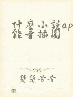 什么小说app能看插图