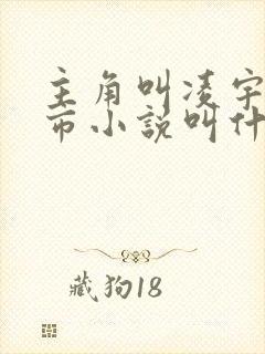 主角叫凌宇的都市小说叫什么