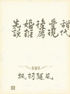 先婚后爱甜文小说推荐现代言情