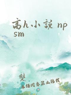 高h小说 np sm