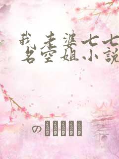 我老婆七七是一名空姐小说