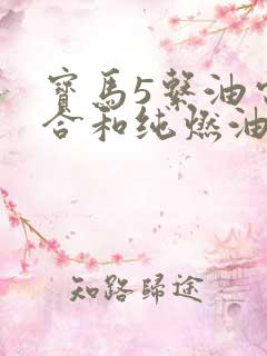 宝马5系油电混合和纯燃油哪个好