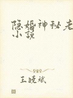 隐婚神秘老公 小说 隐婚神秘老公 小说