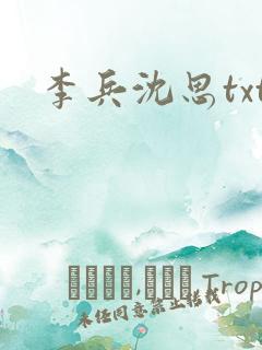 李兵沈思txt