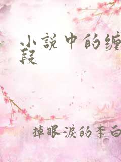 小说中的缠绵片段