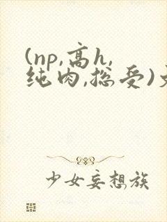 (np,高h,纯肉,总受)文 (np,高h,纯肉,总受)文