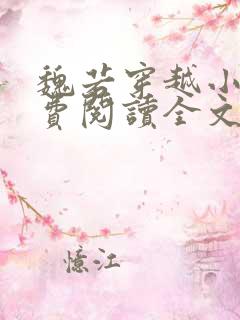 魏若穿越小说免费阅读全文无弹窗