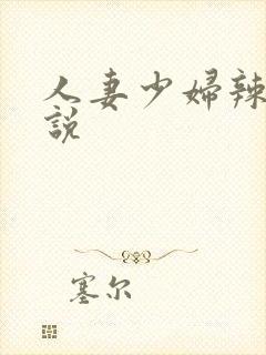 人妻少妇辣文小说