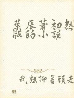 叶辰萧初然最新版的小说