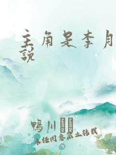 主角是李月的小说