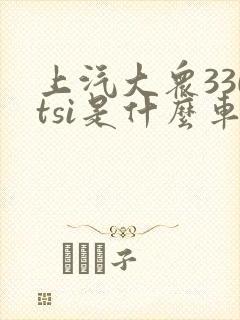 上汽大众330tsi是什么车型