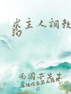 求主人调教骚母狗