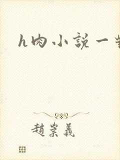 h肉小说一对一