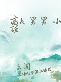 高h 男男 小说