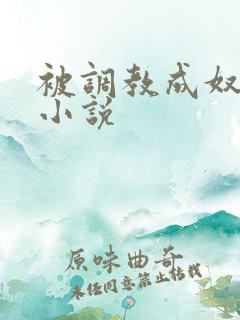 被调教成奴隶的小说