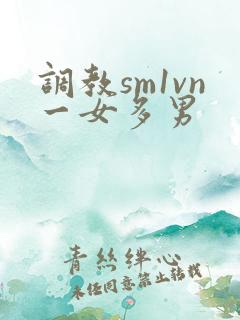 调教sm1vn一女多男