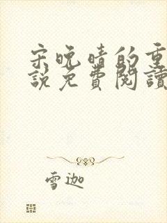 宋晚晴的重生小说免费阅读