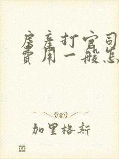 房产打官司律师费用一般怎么收费