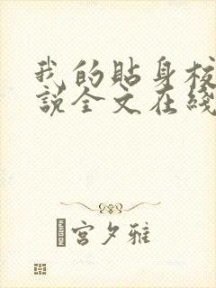 我的贴身校花小说全文在线阅读