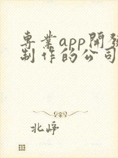专业app开发制作的公司