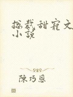 总裁甜宠文短篇小说