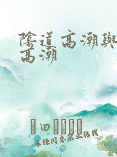 阴道高潮与阴蒂高潮