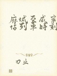麻城至咸宁火车站列车时刻表