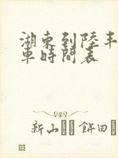 湖东到陆丰公交车时间表