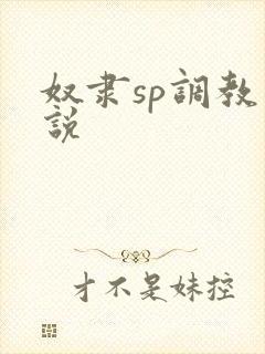 奴隶sp调教小说