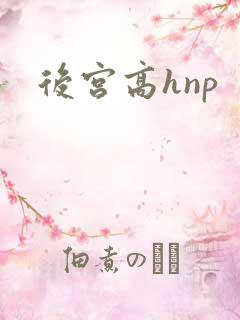 后宫高hnp