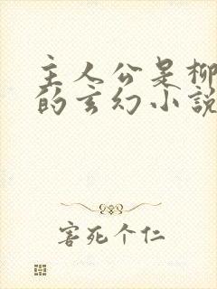 主人公是柳无邪的玄幻小说
