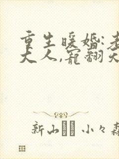 重生暖婚:老公大人,宠翻天