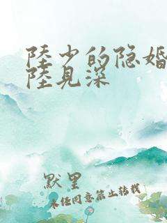 陆少的隐婚罪妻陆见深