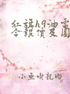 红旗h9油电混合报价及图片