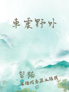 车震野外