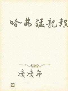 哈弗猛龙报价表