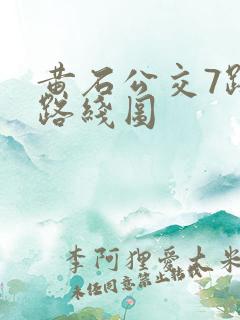 黄石公交7路车路线图 黄石公交7路车路线图