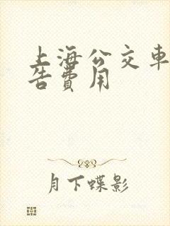 上海公交车身广告费用 上海公交车身广告费用
