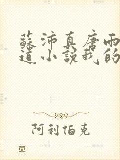 苏沛真唐雨菲林道小说我的岳母