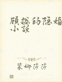 顾总的隐婚罪妻小说