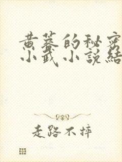 黄蓉的秘密大武小武小说结局