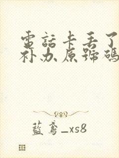 电话卡丢了怎么补办原号码