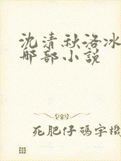 沈清秋洛冰河是哪部小说