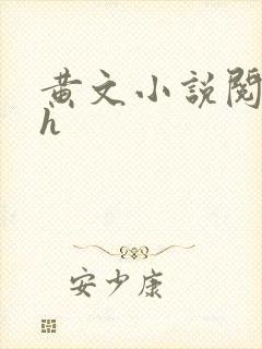 黄文小说阅读高h