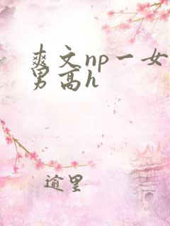 爽文np一女多男高h