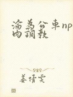 沦为公车np纯肉调教