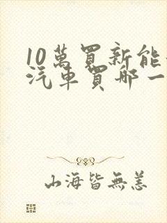 10万买新能源汽车买哪一款好